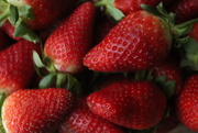 2nd Mar 2026 - day 2 – red! ❤️