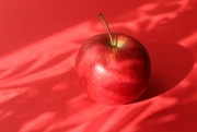 3rd Mar 2026 - day 3 - red 2