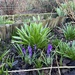 Spring is coming !