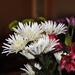 White Flowers