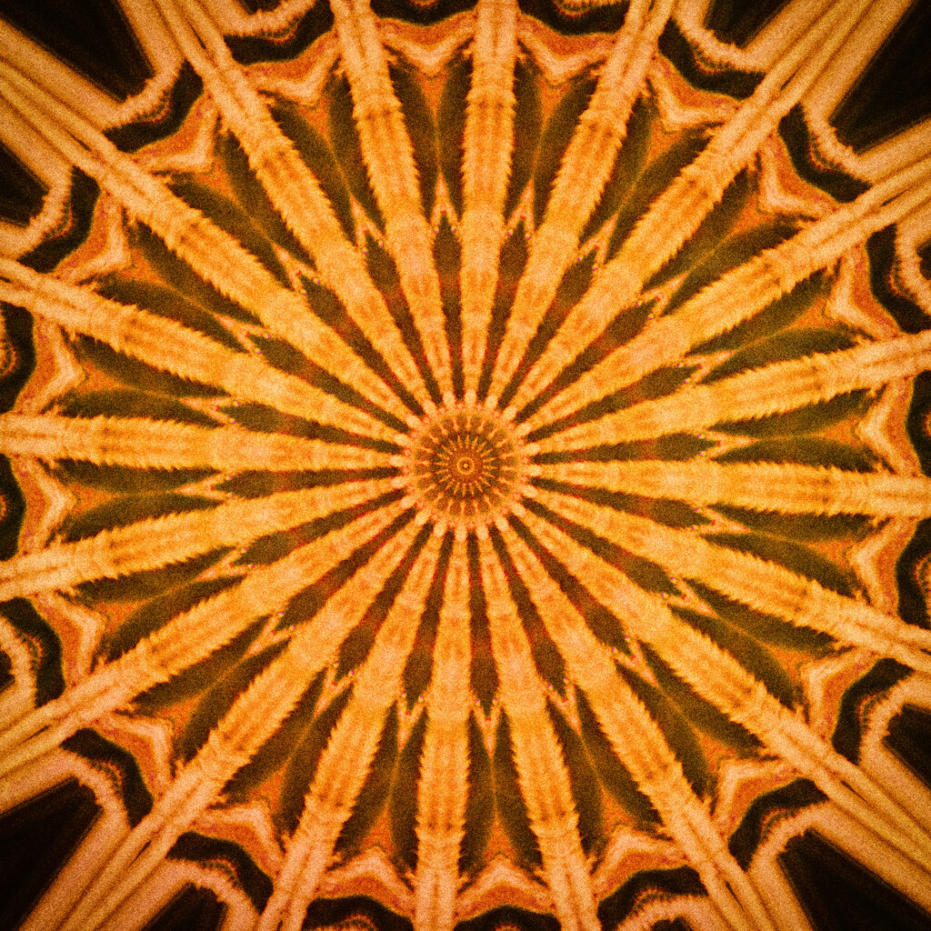 Orange 1 by annied