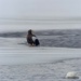 Steller's Sea Eagle