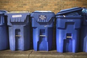 6th Mar 2026 - Blue Bins