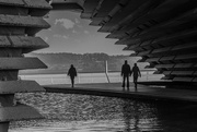 10th Mar 2026 - A view through to the River Tay