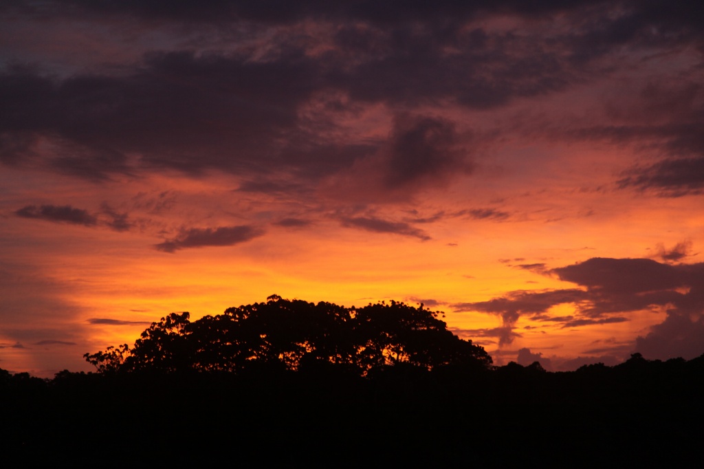 the wet season makes for good sunsets on those odd occasions it stops raining by lbmcshutter