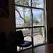 View from the Window