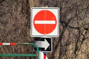 9th Mar 2026 - Iiiii Disagree.