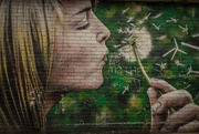 13th Mar 2026 - Blow gently and make a wish…..