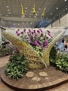 12th Mar 2026 - Singapore Airport 