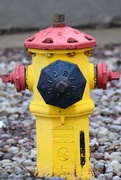 11th Mar 2026 - Fire Hydrant
