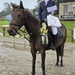 Pony of the year
