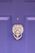 15th Mar 2026 - Knock Knock...