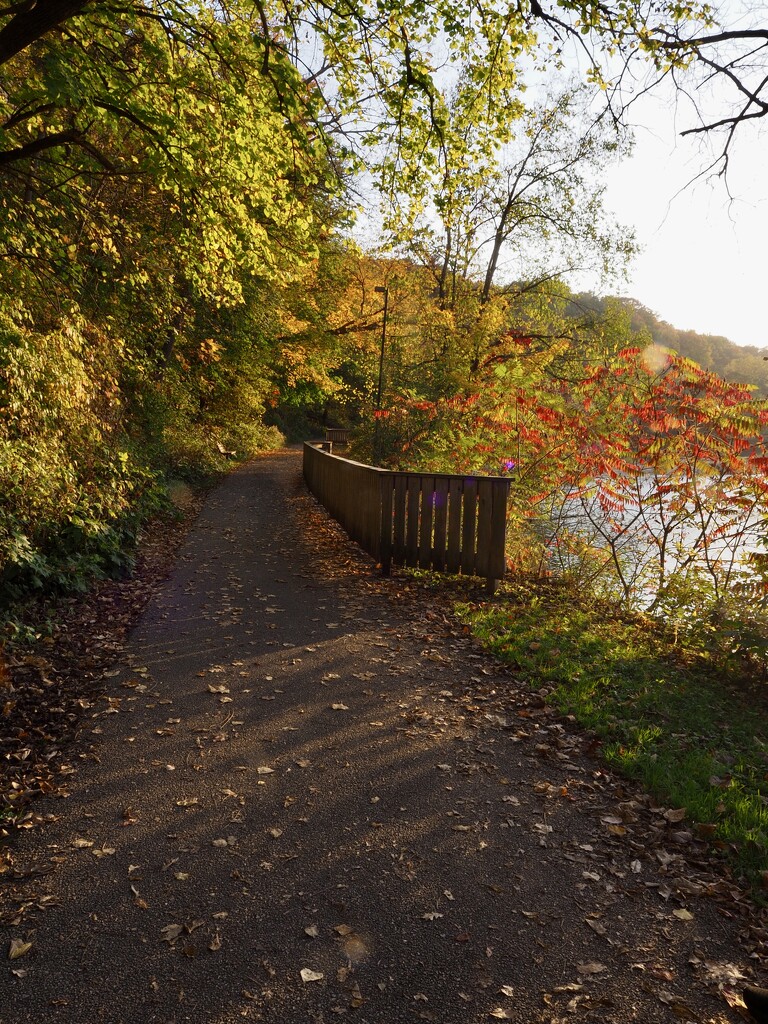 Taken in october. . .  by vlc