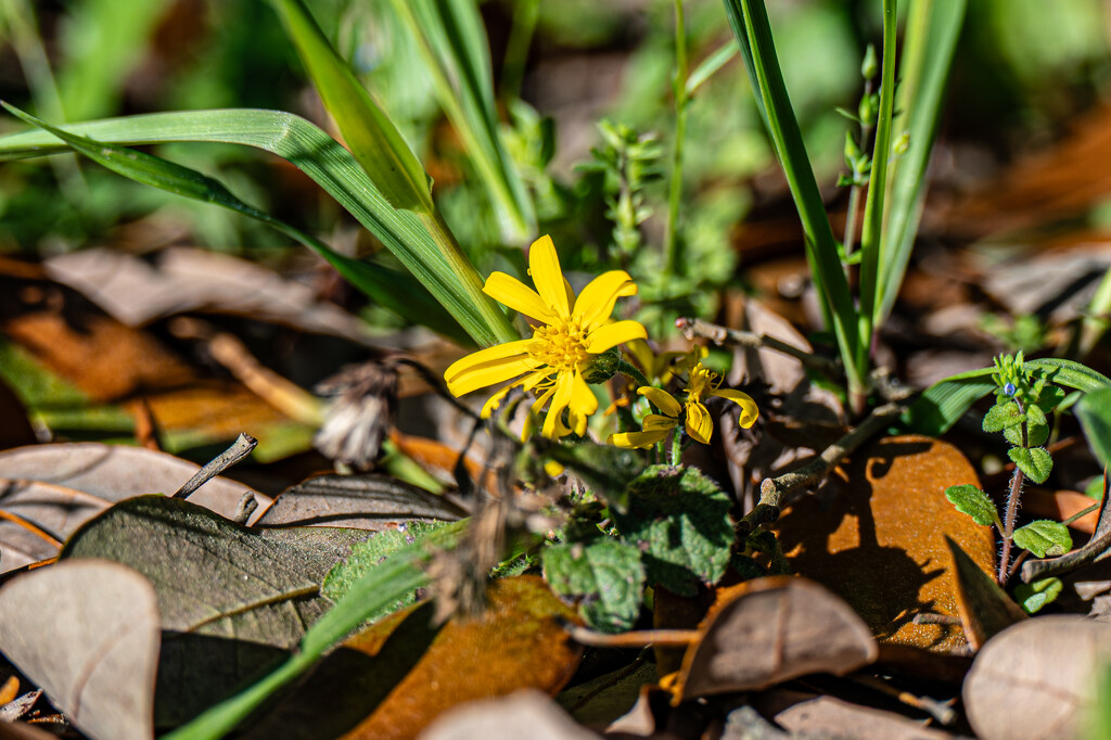 Out in the field... by thewatersphotos