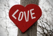 16th Mar 2026 - Street Art Heart 