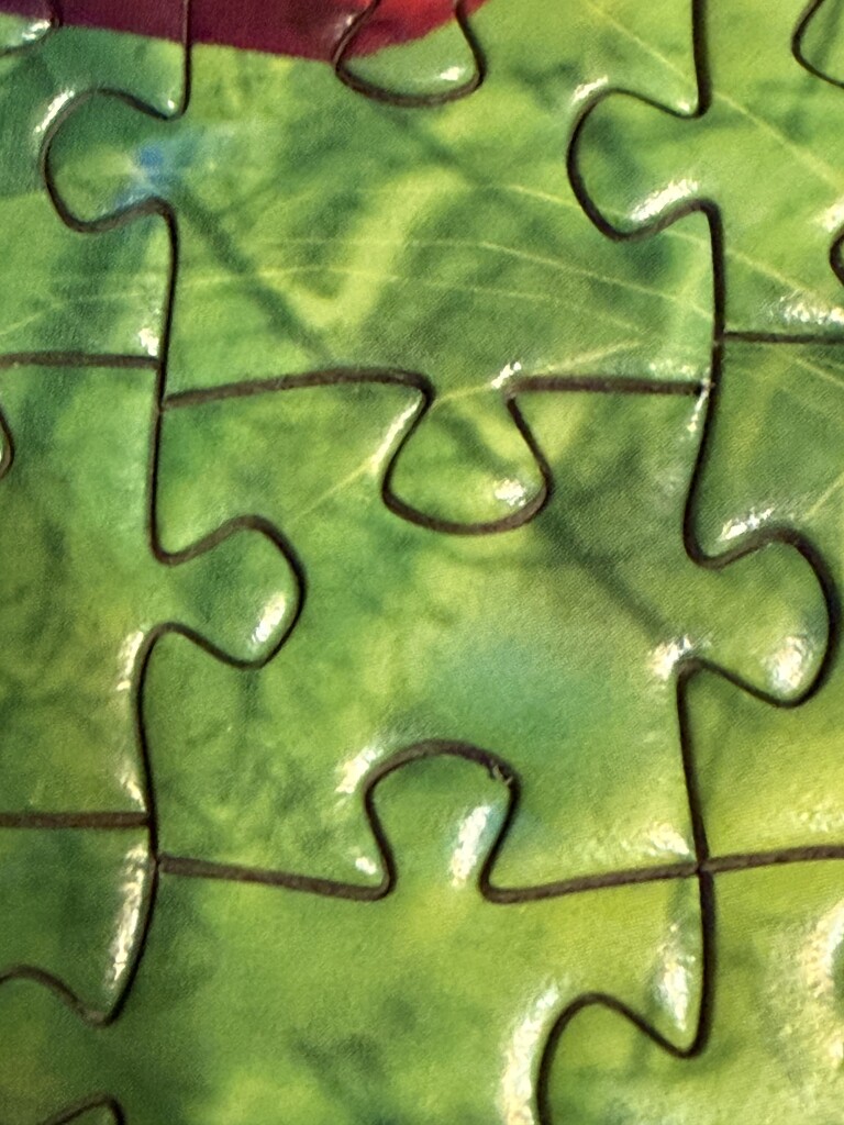 Green puzzle by homeschoolmom
