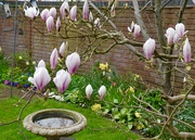 23rd Mar 2026 - I love the Spring