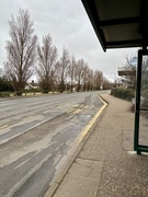 7th Mar 2026 - Waiting
