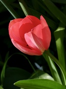 24th Mar 2026 - Breezy