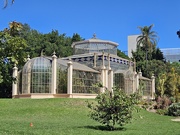 24th Mar 2026 - Adelaide Botanical gardens 