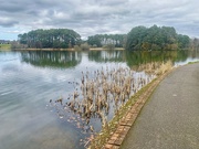 26th Mar 2026 - Lanark Loch