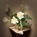 White tulips