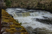 25th Mar 2026 - Fast flowing……