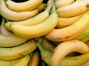 25th Mar 2026 - That's Bananas! 