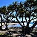 A Beautiful Beach ~