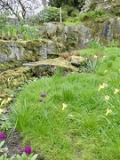 27th Mar 2026 - Chartwell