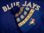 27th Mar 2026 - Blue Jays Blue