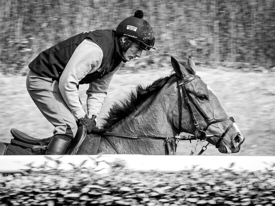 Schooling  by barrowlane
