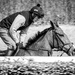 Schooling 