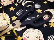 28th Mar 2026 - Indigo Scissors
