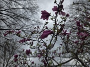 2nd Apr 2026 - The calm before the storm. 