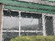1st Apr 2026 - Hello April showers