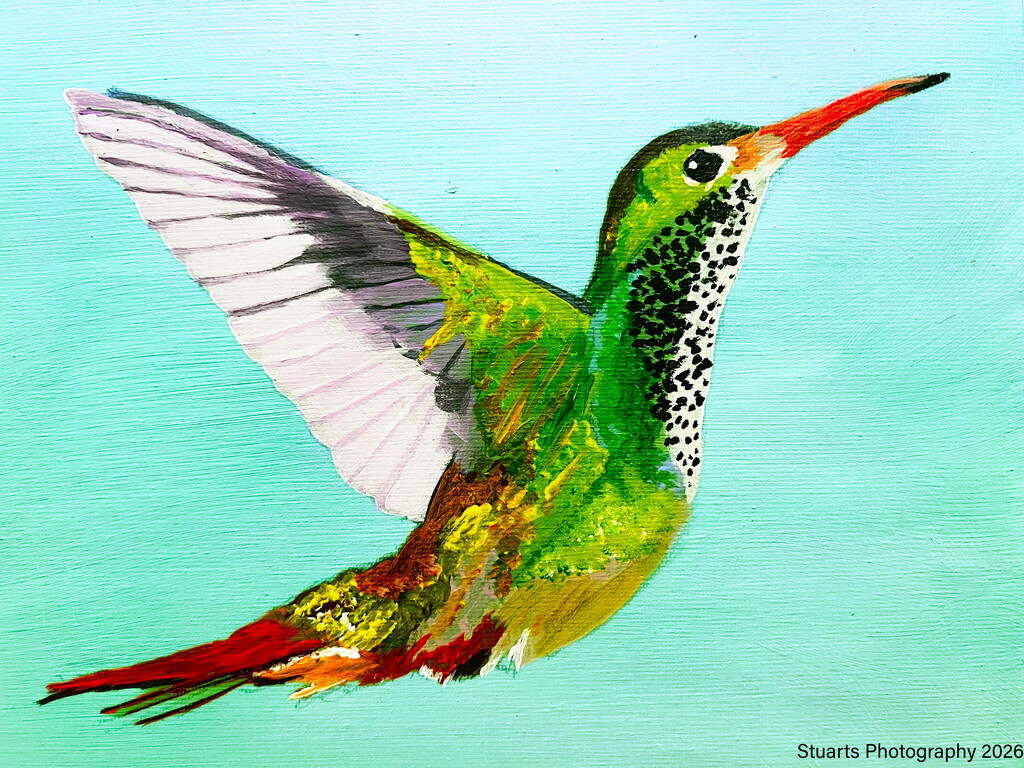 Hummingbird (acrylic painting) by stuart46