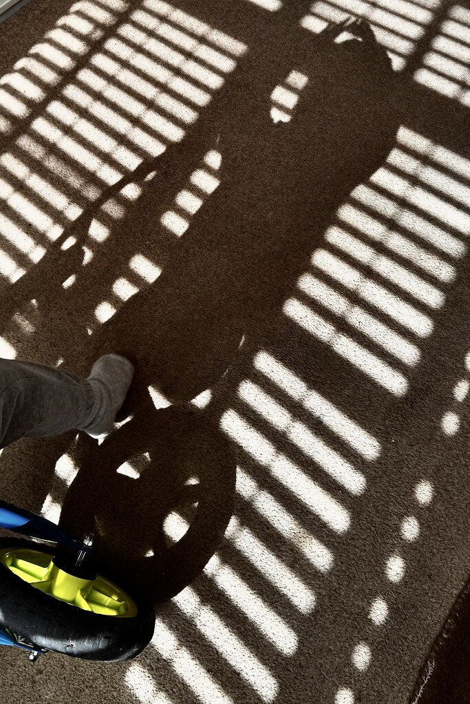 A Shadow Pattern by stevepokey1962