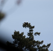 3rd Apr 2026 - Lucky Find