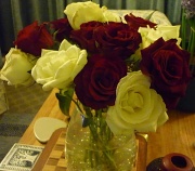 9th Feb 2011 - roses for the lounge
