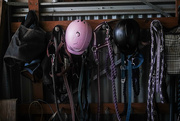 7th Apr 2026 - The gear 