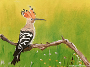 7th Apr 2026 - Eurasian hoopoe (acrylic painting)
