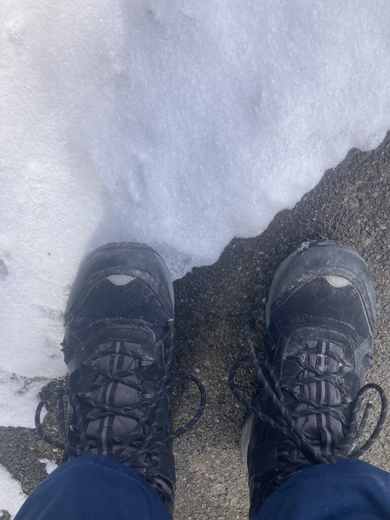My Feet (Single Subject - Day 7) by spanishliz