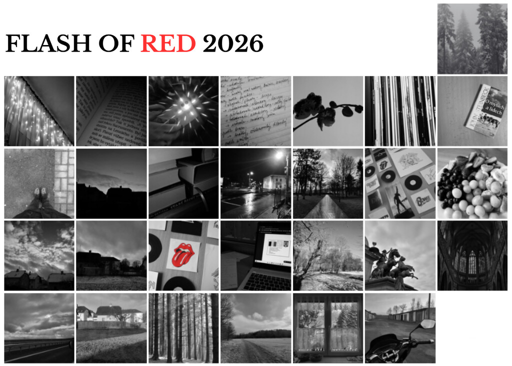 Flash of Red February 2026! by elsieblack145