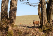 4th Apr 2026 - Friends!