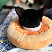 5th Apr 2026 - Donut Head