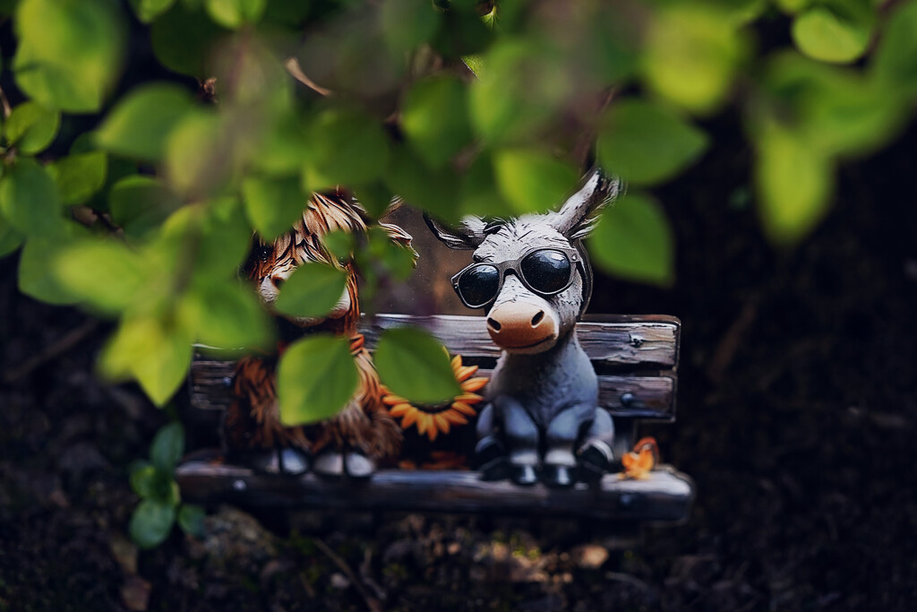 Donkey and cow by kmphoto