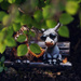 Donkey and cow