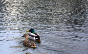 7th Apr 2026 - A Matter of Time