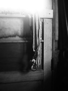 8th Apr 2026 - Hook